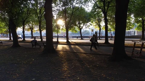 People walking in park Stock Footage 116049522