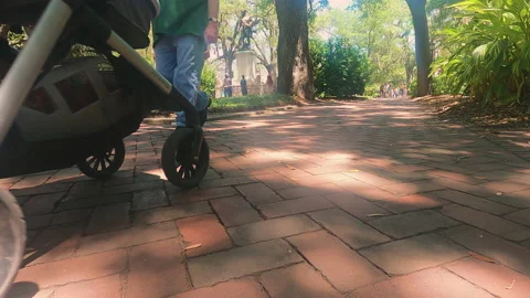 People Walking in Park Stock-Footage 155316825