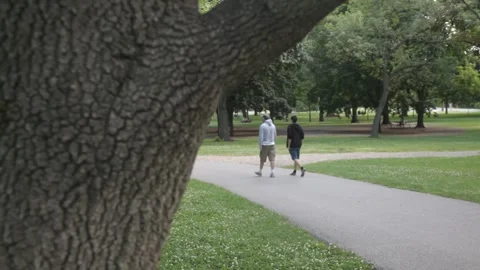 People Walking on Park Path Framed by Tree Bark Vidéo 341032815