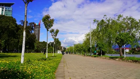 People walking in the park, time lapse video Stock Footage 154138071