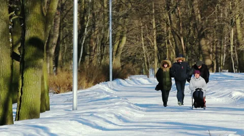 People walking in the park in winter Vídeo Stock 23019869