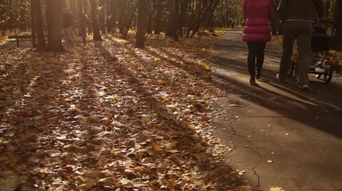 People walking on a path with fallen leaves - HD 1920X1080 Video stock 886333