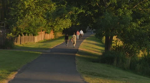 People Walking on a Path Stock Footage 40347544