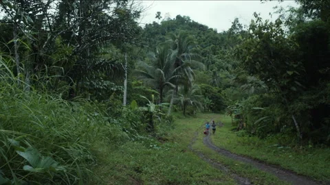 People walking on a path in the lush tropical jungle 库存影片 334377125