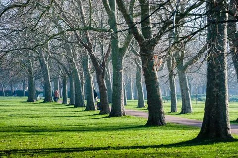 People walking on the path in the park Stock Photos