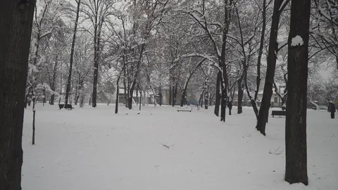 People walking on path in park under snow, symbolic scene for winter season. Stock Footage 101249412