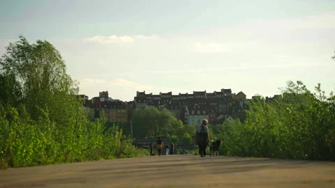 People walking on path with plants and buildings 스톡 동영상 338324850
