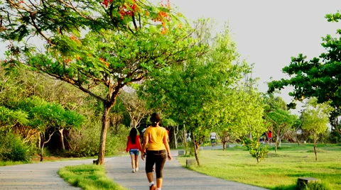 People walking. Phisycal training. Stock Footage 62687872