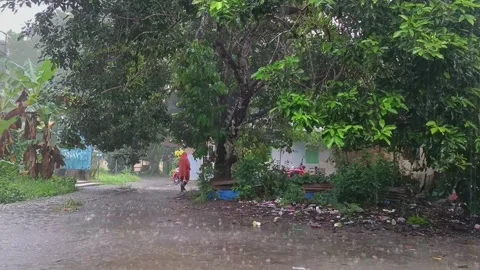People walking in the rain Stock Footage 241051594