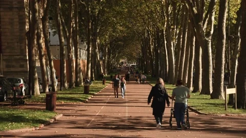 People walking in a row of tree, in the summer sun, towards Versailles palace 4K 库存影片 220952685