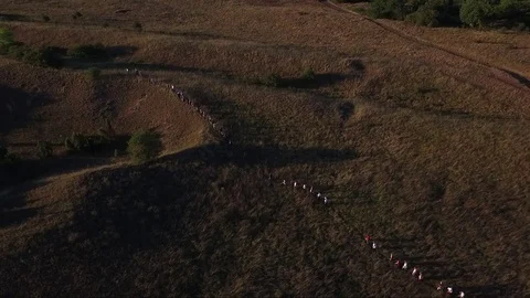 People walking in rural fields, drone aerial footage Stock Footage 85237079
