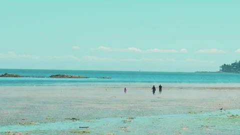 People walking on sandy beach at low tide during summer 動画素材 337621340