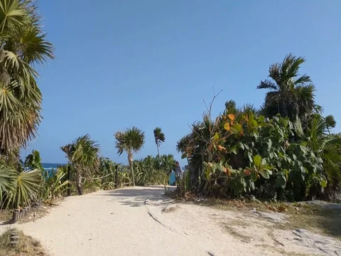 People Walking on Sandy Trail Stock Footage 74004948
