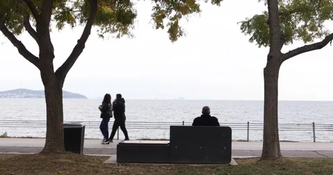 People walking by seaside bench framed by trees on overcast day Video stock 321035819