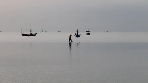 People Walking In Shallow Water (2 of 5) Stock Footage 85236754