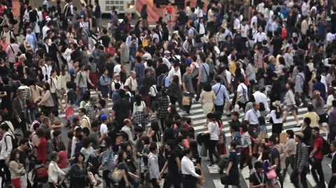 People walking at Shibuya scramble crossing, Tokyo, Japan Stock Footage