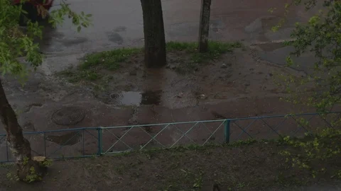 People walking by the sidewalk at the rain Vidéo 118043563