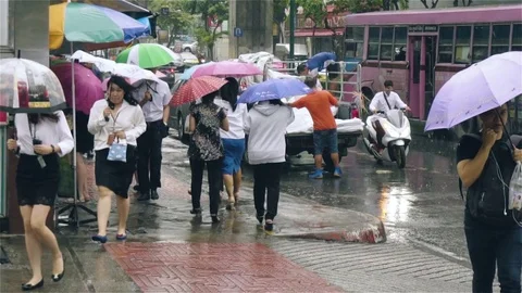 People walking in slow motion in rain with umbrellas Stock Footage 81411614