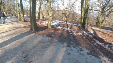People Walking on Snowy Forest Path at Normafa Park in Budapest Hungary Vidéo 335289864