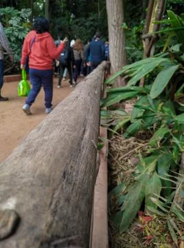 People walking in a specific direction Photos