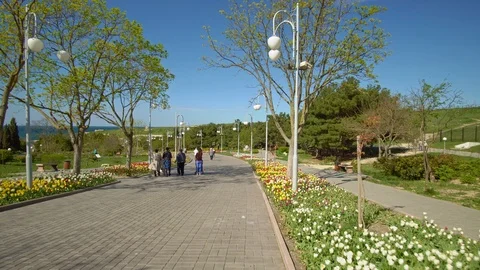 People walking in a spring park.  Stock Footage 124013380