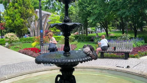 People Walking in St. James Park Stock Footage 281164471