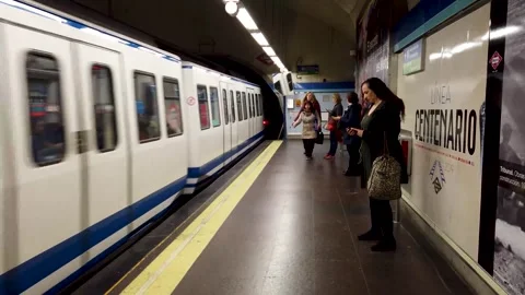 People walking in the station while the train arrives Vidéo 242563081