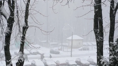 People walking on the street during a snowfall Stock Footage 71705975