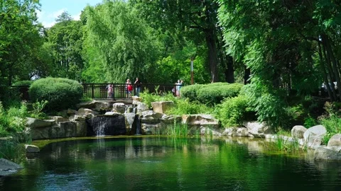 People walking in the summer park. Stock Footage 160464765