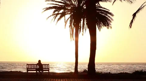 People walking at sunset 動画素材 40931515