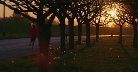 People walking at sunset under trees 库存影片 332511395