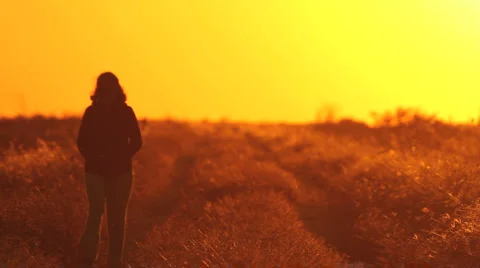 People walking on sunset2 Stock Footage 917722