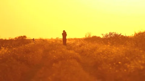 People walking on sunset2 Stock Footage 917841