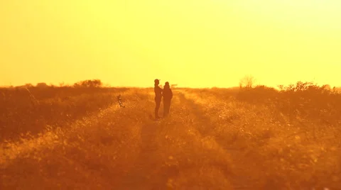 People walking on sunset2 Video stock 917981
