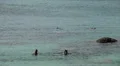 People walking, swimming, snorkeling, Kata Beach in Phuket Island, Thailand HD Footage