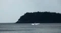 People walking, swimming, snorkeling, Kata Beach in Phuket Island, Thailand HD Footage