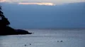 People walking, swimming, snorkeling, Kata Beach in Phuket Island, Thailand HD Footage