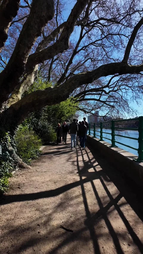 People walking on Thames Path along River Thames on a sunny morning. vertical Stock Footage 332677924