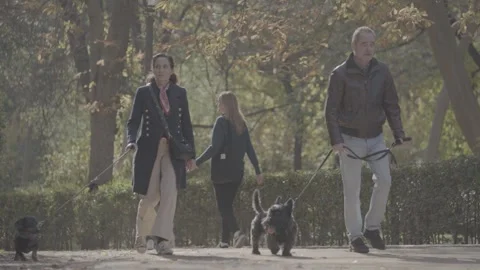 People walking their pets in a park in Madrid, Spain Stock-Footage 345030559