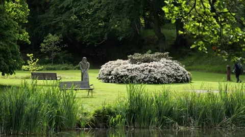 People walking through a beautiful green public park in summer Stock Footage 337736992