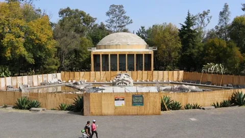 People walking through the Chapultepec forest next to the Tlaloc fountain Video stock 171431542