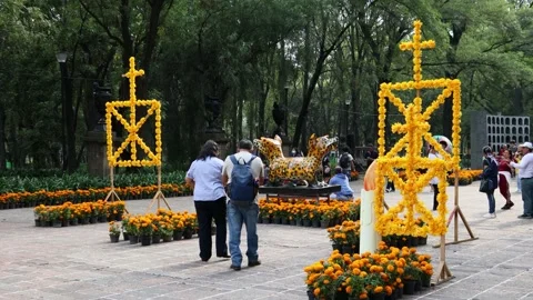 People walking through the Chapultepec forest on the day of the dead Video stock 243036272