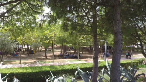 People Walking Through A City Park Stock Footage 95331153