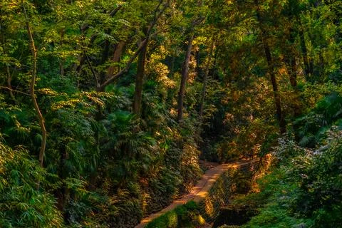 People walking through a deep green valley Stock Photos