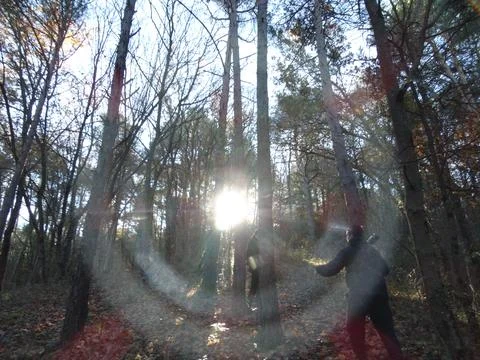People walking through forest with sun flare Stock Photos