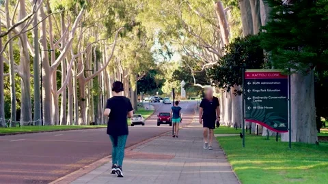 People walking through Kings Park in Perth, Western Australia. Sun rays through  Stock Footage 142050631