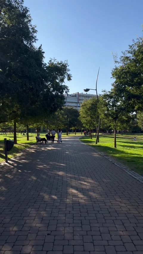 People Walking Through Limanski Park in Novi Sad, Serbia Stock Footage 346753194