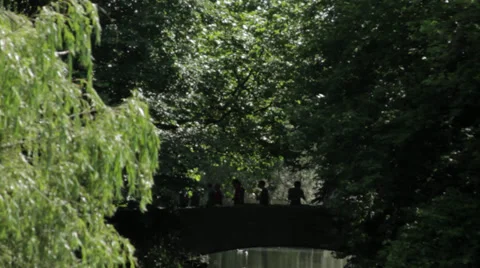 People walking through Old bridge in a park Stock-Footage 37773825