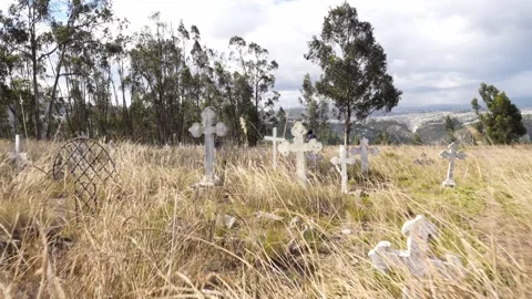 People walking through an overgrown old cemetery with stone crosses Stock Footage 339346475