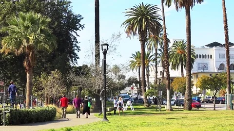 People walking through park while the sun is out. Stock Footage 85456982